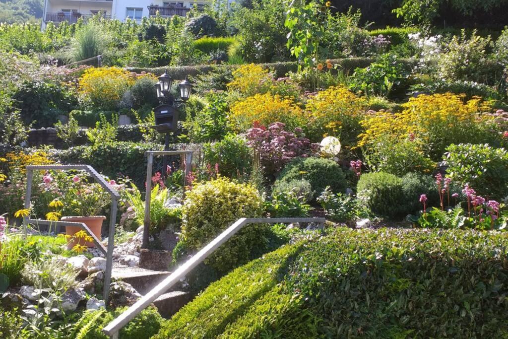 Haus Weingarten Kövenig 외부 사진